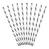 Paberist joogikõrred, hõbedased triibulised, 19,5 cm (1 pakk / 10 tk)